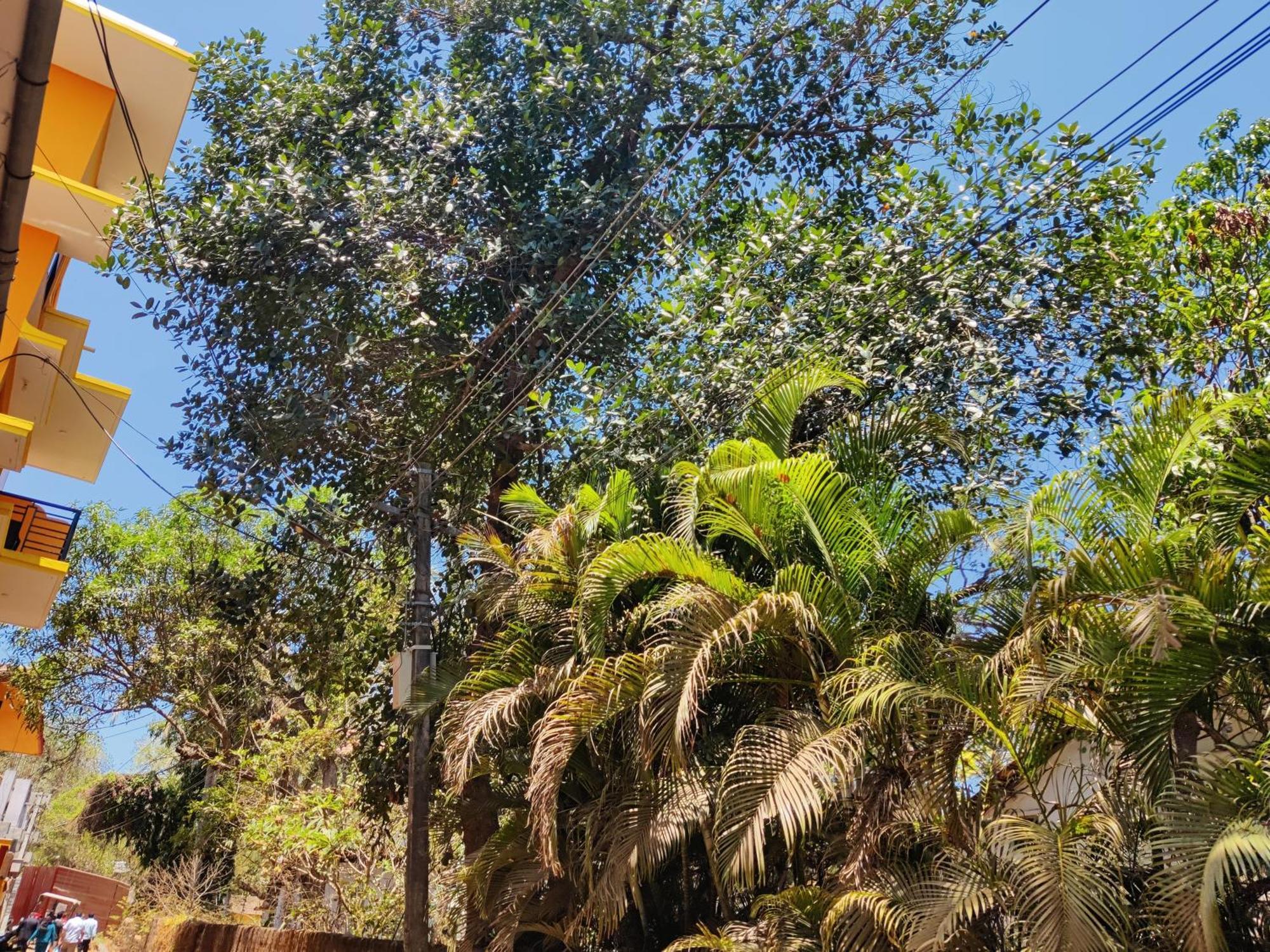 Sai Guru Guest House Anjuna Luaran gambar